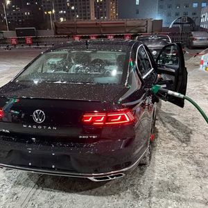 丰满多毛旳大荫道视频
