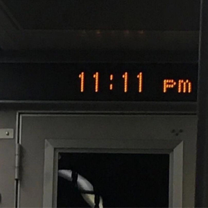 丰满多毛旳大荫道视频
